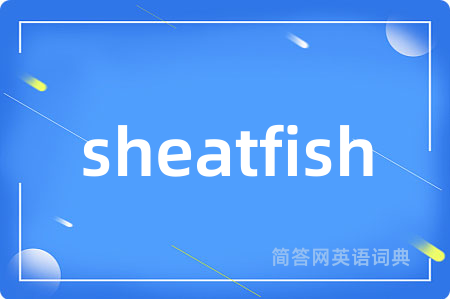 sheatfish