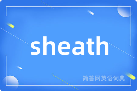 sheath