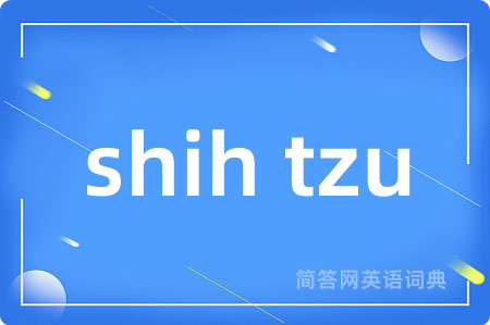 shih tzu