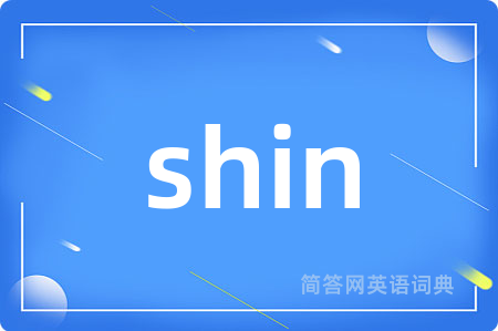 shin