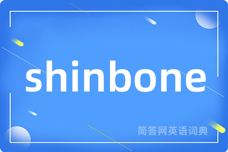 shinbone