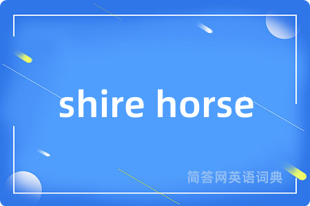 shire horse
