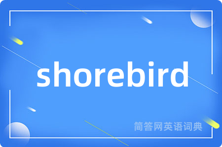 shorebird