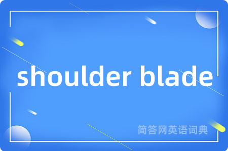 shoulder blade