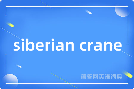 siberian crane