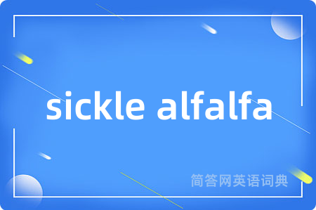 sickle alfalfa