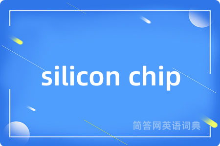silicon chip