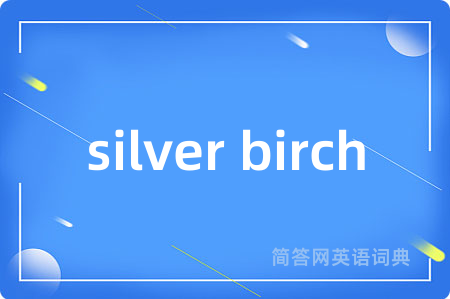 silver birch