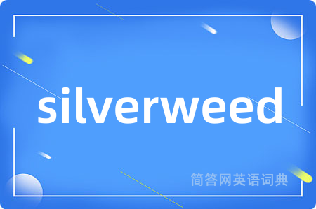 silverweed