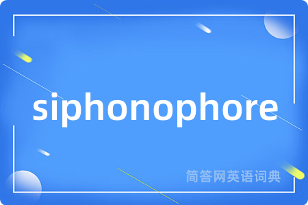 siphonophore是什么意思,siphonophore的中文翻译 siphonophore