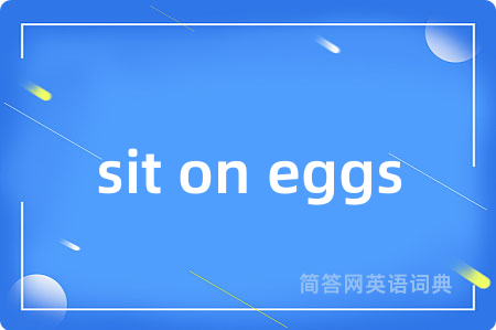 sit on eggs
