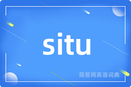 situ是什么意思,situ的中文翻译 situ
