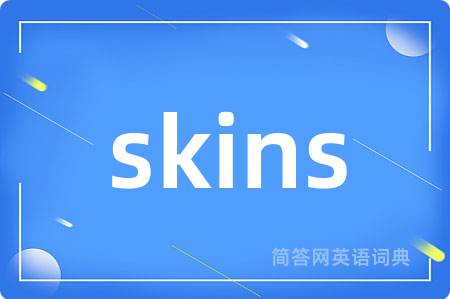 skins是什么意思,skins的中文翻译 skins