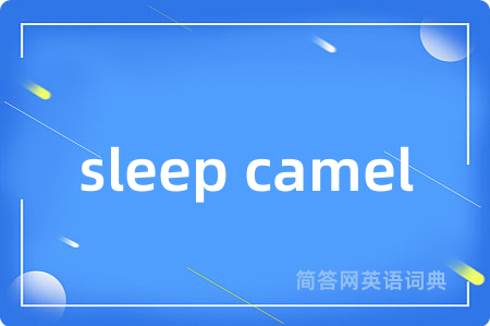 sleep camel