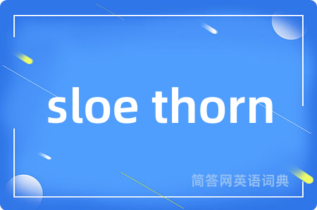 sloe thorn