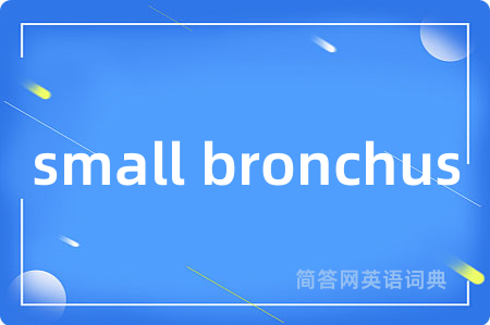 small bronchus