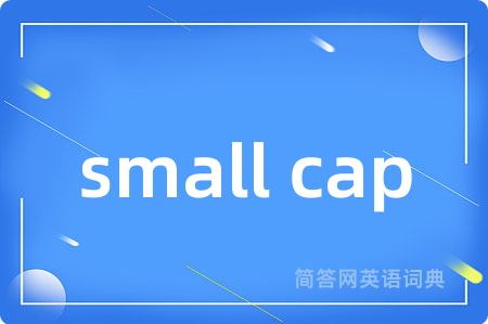 small cap是什么意思,small cap的中文翻译 small cap
