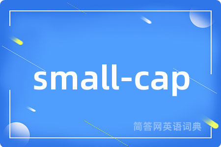 small-cap是什么意思,small-cap的中文翻译 small-cap