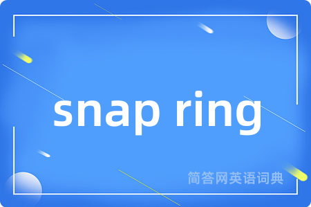 snap ring