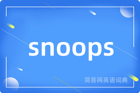 snoops是什么意思,snoops的中文翻译 snoops