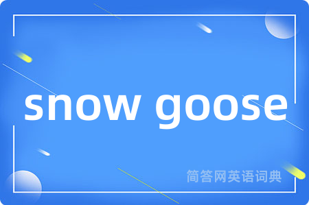 snow goose