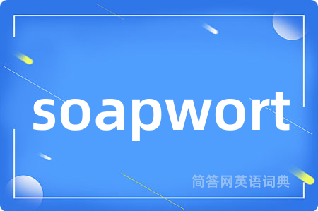 soapwort