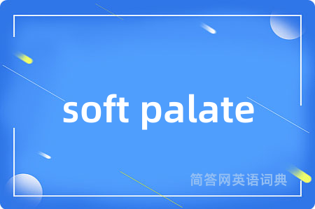 soft palate