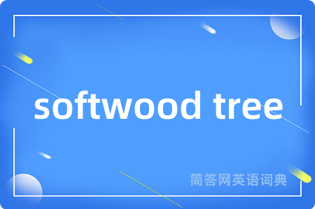 softwood tree