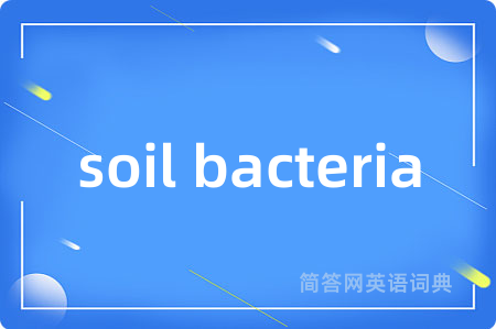 soil bacteria