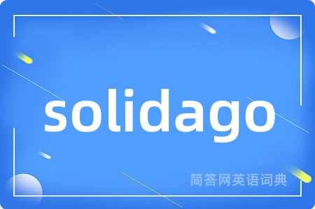 solidago
