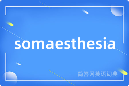 somaesthesia