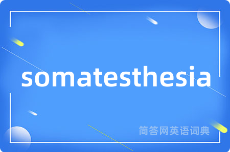 somatesthesia