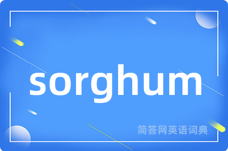 sorghum