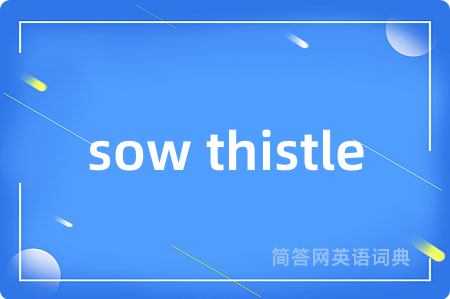 sow thistle