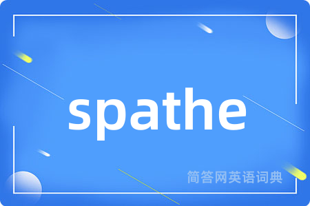 spathe
