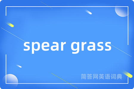 spear grass