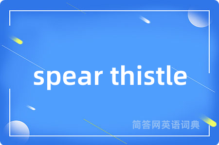 spear thistle