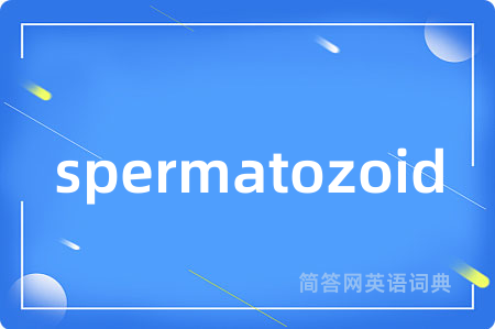 spermatozoid