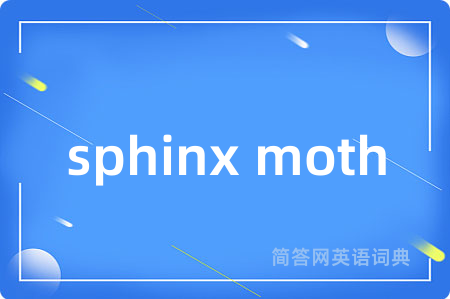 sphinx moth