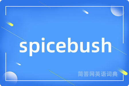 spicebush