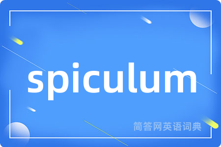 spiculum