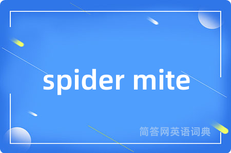 spider mite