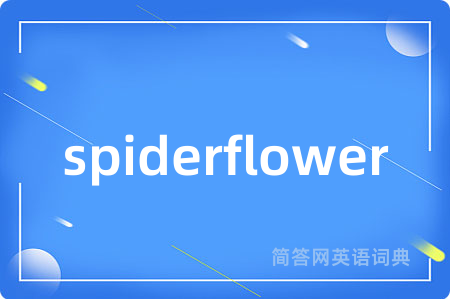 spiderflower