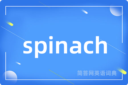 spinach是什么意思,spinach的中文翻译 spinach
