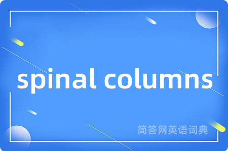 spinal columns