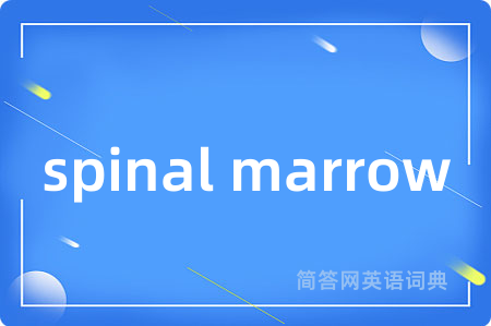 spinal marrow