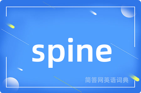 spine