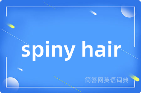 spiny hair