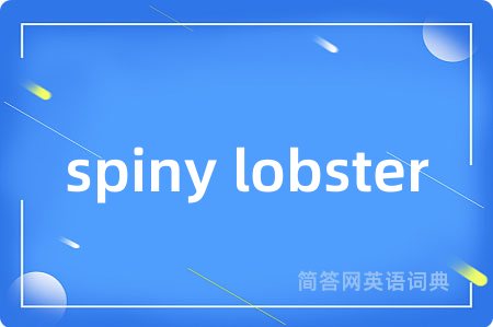 spiny lobster