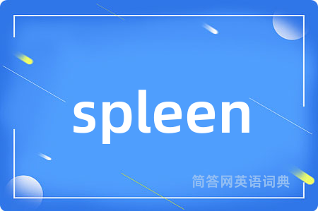 spleen